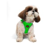 Paws & Whiskers Am za pse Air Mesh Neo Green 3XS | Eponuda.com