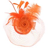 Art of Polo Woman's Fascinator cz22175 Cene