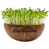 Grow-Grow Nut Začetni paket Microgreens Cene
