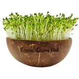 Začetni paket Microgreens