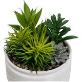 Casa Selección Umjetne biljke u setu 2 kom (visina 19 cm) Cactus – | shoptok.hr