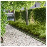 vidaXL Ograda oko Travnjaka 20 kom. 100 x 10 x 8 cm Čelik - Maslinastozelena 20 | shoptok.hr