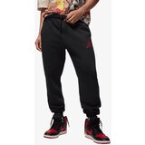 Nike M j jumpman flc pant | ePonuda.com