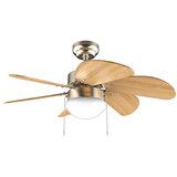 Cecotec 08370 - EnergySilence Aero 360 Zlato in les, (22118405) Cene