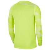 Nike Dry Park IV Zelena | shoptok.hr