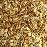 Deluxe hrana za divje ptice 20 kg z ličinkami in oluščenimi sončničnimi semeni, brez lupin, (5000240327)