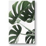  Slike na platnu biljke 009 (moderne slike na platnu) | ePonuda.com