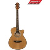  GITARA AK. FLIGHT F230C NAT Cijene
