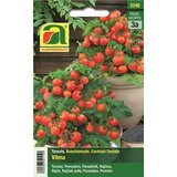 AUSTROSAAT Paradižnik, Vilma | Shoptok.si