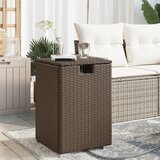  The Living Store Zaščita za plinsko jeklenko rjava 40x40x60 cm poli ratan - Mizica Za Zaščito Plinske Jeklenke, (21485468) | Shoptok.si