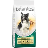briantos Senior perad i riža - 14 kg