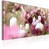  Slika - Meadow of Tulips 60x40 Cijene