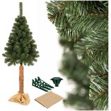  CT0273 ŠKOTSKI BOR NA DEBLJU 180 CM | shoptok.hr