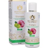 Maharishi Ayurveda Zeliščni šampon Vata bio Cene