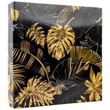  Foto album Monstera 1, 500 slika | shoptok.hr