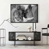  Slika - Lion\'s Love 120x80 U crnom drvenom okviru | shoptok.hr