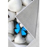 Conceptum Hypnose tepih (50 x 80) WOOKECE130 | ePonuda.com