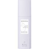 Kerasilk Flat Iron Spray Cene