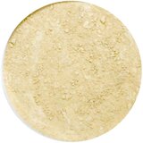 Provida Organics earth minerals satenski mat tekući puder - golden 2 Cijene