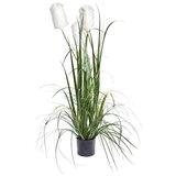 Ambia Home OKRASNA TRAVA | Shoptok.si