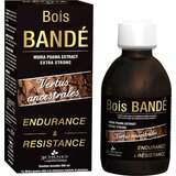 3 Chenes Laboratories bois Bande Cene