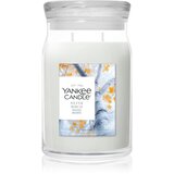 Yankee Candle Silver Birch mirisna svijeća 567 g Cijene