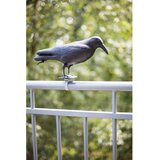 Esschert Design Plastično strašilo za ptice Crow – | shoptok.hr