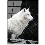 Wallity Steklena slika 70x100 cm White Wolf – Wallity