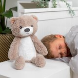 Zazu plišasta glasbena nočna lučka sleeptrainer brody the bear taupe | Shoptok.si