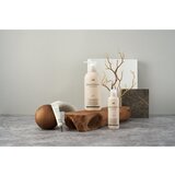 LADOR Scalp Scaling Spa balzam za dubinsko čišćenje za vlasište 4x15 g | shoptok.hr