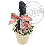  Vaza krem | ePonuda.com