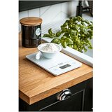 Adler Kuhinjska tehtnica AD3170, 15 kg, bela | Shoptok.si
