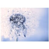  Tapeta - Etheric Morning 200x140 | shoptok.hr