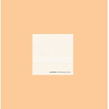  Jan Jelinek - Loop-Finding-Jazz-Records | Eponuda.com