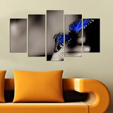 Wallity Set Slika 5PMDF-65, 5 Delova | ePonuda.com