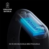 Forever pametna zapestnica FITBAND SB-50 | Shoptok.si