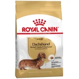 Royal Canin Dachshund - 1,5 kg