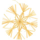  Ca1470 ukrasi za božićno drvce 6/11 cm 48 kom. | shoptok.hr