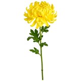  Rezano cvijeće krizantema 69 cm žuta Cijene