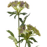Bloomingville Umetna rastlina (višina 49 cm) Throatwort – | Shoptok.si
