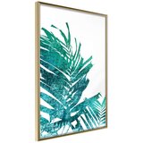  Poster - Teal Palm on White Background 20x30 Cijene