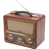 Sal Retro radio + BT bežični zvučnik, FM, MP3, USB/microSD - RRT22 | shoptok.hr