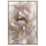  Slika - Fluffy Distraction (1 Part) Vertical 80x120 | shoptok.hr