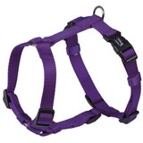 Nobby classic oprsnica, 20 mm / 50-70 cm - vijolična | Shoptok.si