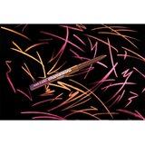 Wet'n wild Chameleon Chrome Eyeliner kovinski svinčnik za oči odtenek Cosmic Seeker 0.2 g | Shoptok.si