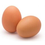  Jaja klasa L 10kom Cene