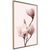  Poster - Blooming Magnolias III 30x45 Cijene