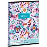 Ars Una Črtasti zvezek za 1. razred A5 14-32 : Catalina Estrada s kačjim pastirjem | Shoptok.si