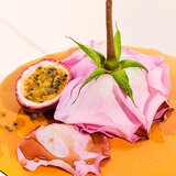 Sol de Janeiro Rosa Charmosa Dewy Cream posvjetljujuća krema za tijelo 240 ml | shoptok.hr