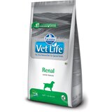 Vet Life hrana za zdravlje bubrega kod pasa 2kg cene